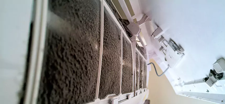 Preventive Air Duct Bacteria Removal in Bel Air North