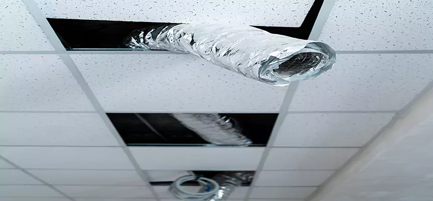 Affordable HVAC Sanitizing After Pest Removal in Bel Air North