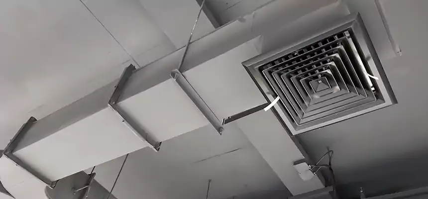 Restorative Allergy Relief Vent Cleaning – Coil, Blower & Housing Detail in Bel Air North