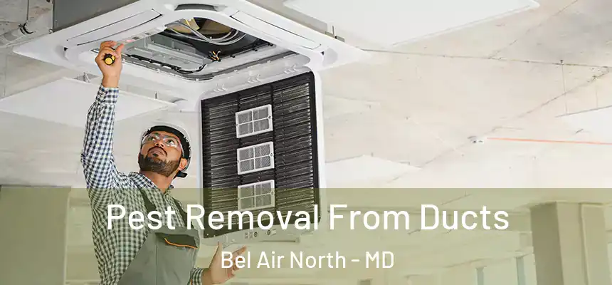 Pest Removal From Ducts Bel Air North - MD