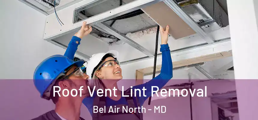 Roof Vent Lint Removal Bel Air North - MD