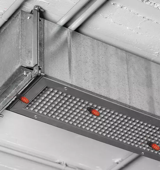 About Air Duct Cockroach Removal in Bel Air North, MD