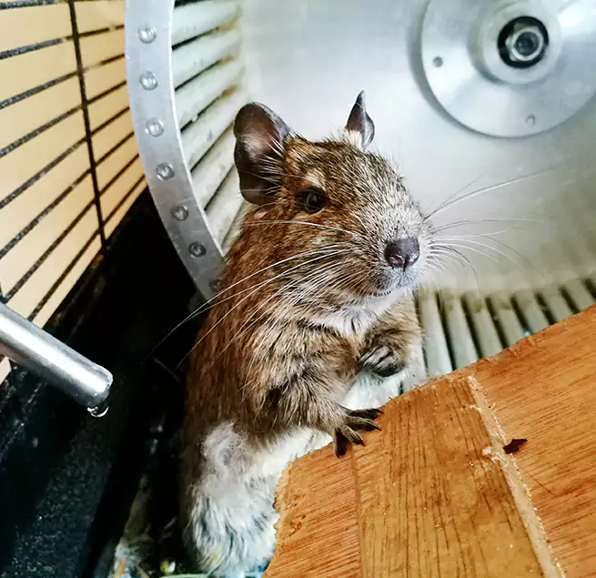 Why Homeowners & Businesses Trust Us Bel Air North, MD